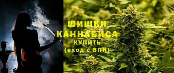 шишки Кулебаки