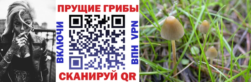 продажа наркотиков  МЕГА онион  Галлюциногенные грибы мухоморы  Чапаевск 